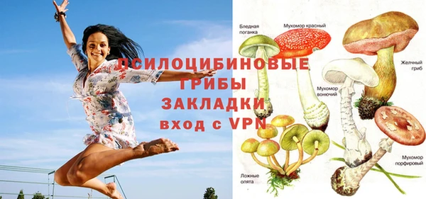 круглые Корсаков
