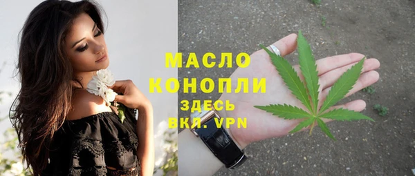 трава Гусиноозёрск